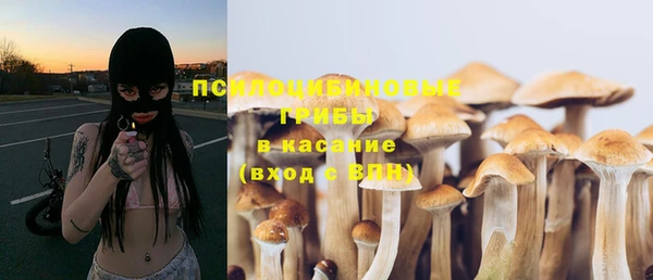 PSILOCYBIN Алексеевка