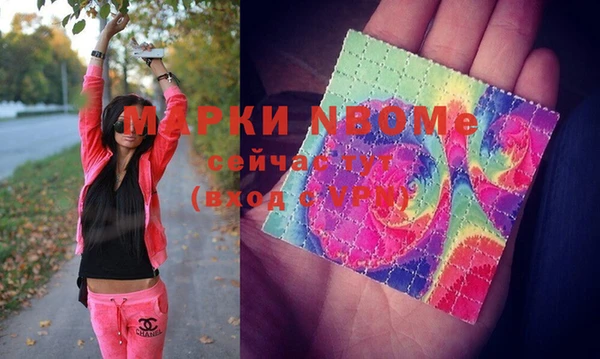 стаф Алексин