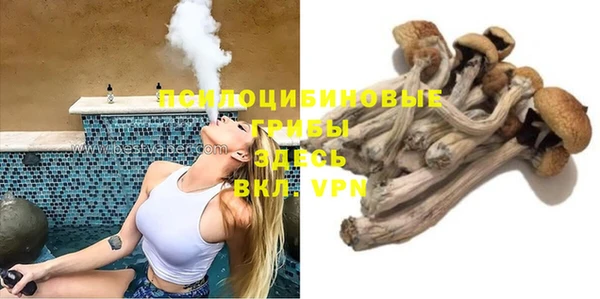 PSILOCYBIN Алексеевка