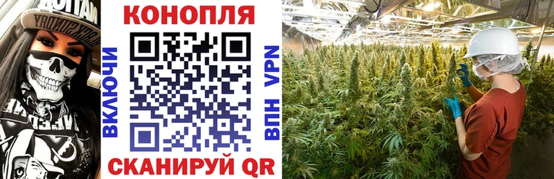 Конопля планчик Катайск